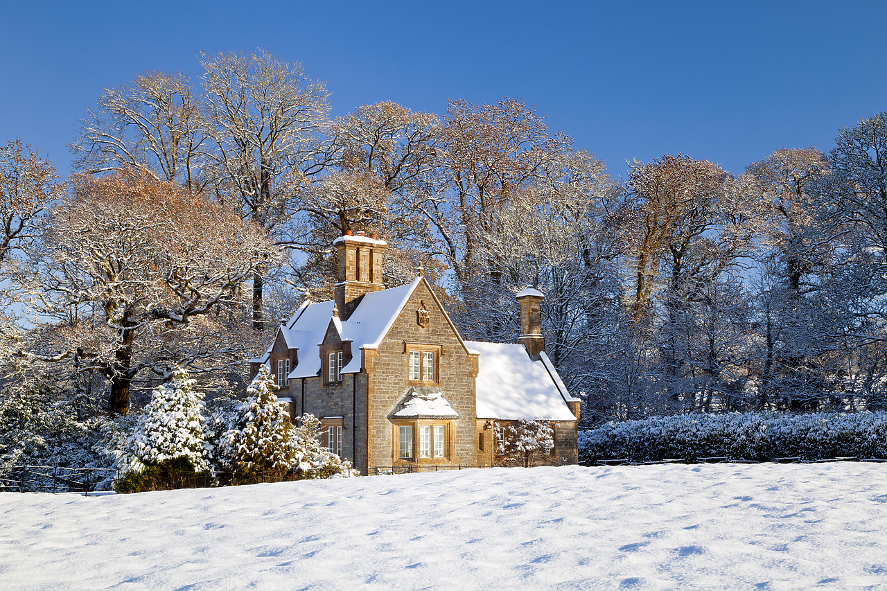 #100567-1 - Gatehouse Cottage in Winter, Melbury Osmond, Dorset
