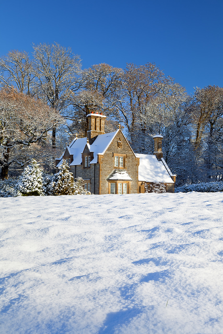 #100567-2 - Gatehouse Cottage in Winter, Melbury Osmond, Dorset