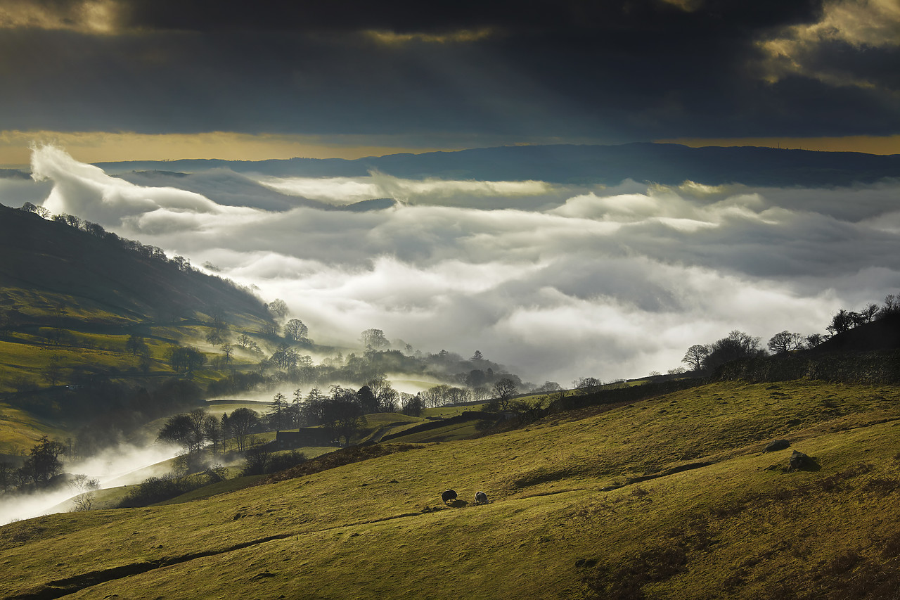 #110003-1 - Low Cloud Over Ambleside, Lake District National Park, Cumbria, England