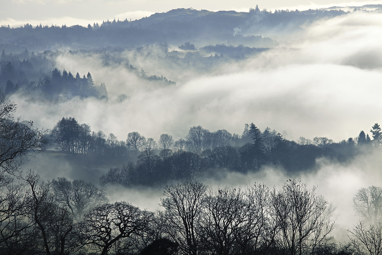 #110005-1 - Misty Landscape in Winter, near Windermere, Lake District National Park, Cumbria, England