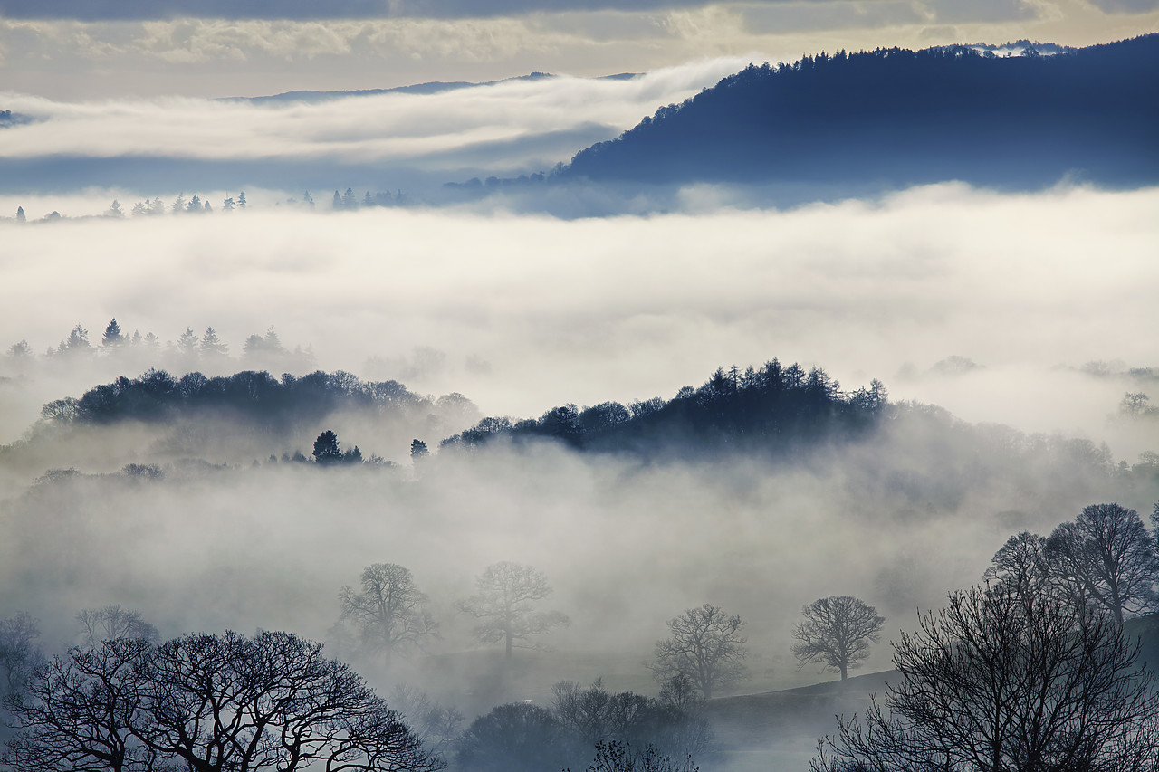 #110006-1 - Misty Landscape in Winter, near Windermere, Lake District National Park, Cumbria, England