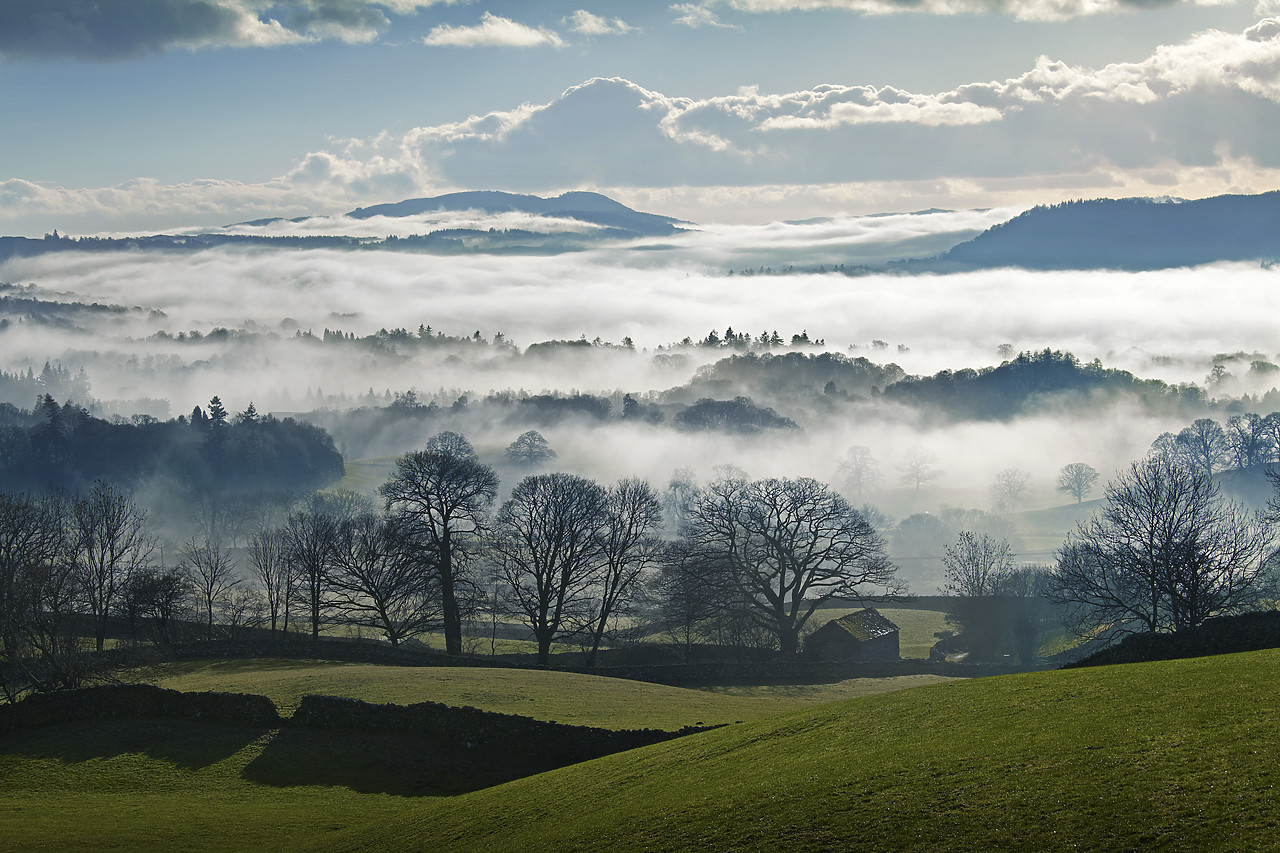 #110007-1 - Misty Landscape in Winter, near Windermere, Lake District National Park, Cumbria, England