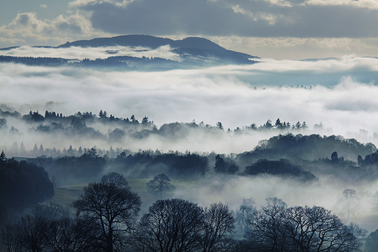#110008-1 - Misty Landscape in Winter, near Windermere, Lake District National Park, Cumbria, England