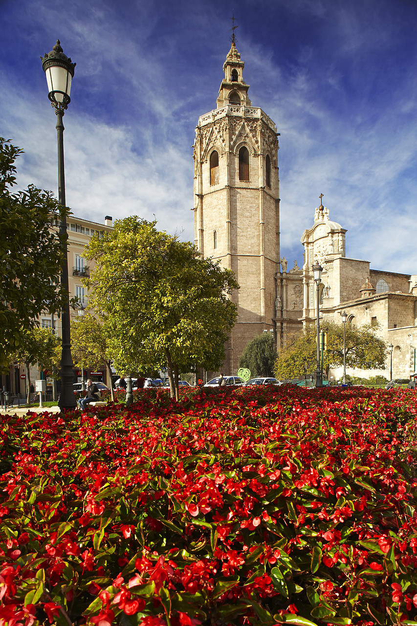 #110021-1 - Cathedral & Miguelete Tower in Plaza de la Reina, Valencia, Spain