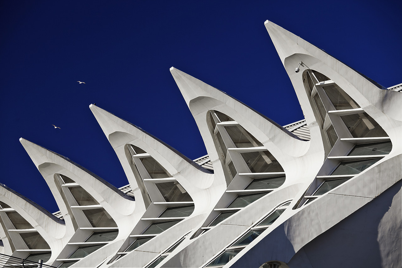 #110032-1 - City of Arts & Sciences, Valencia, Spain