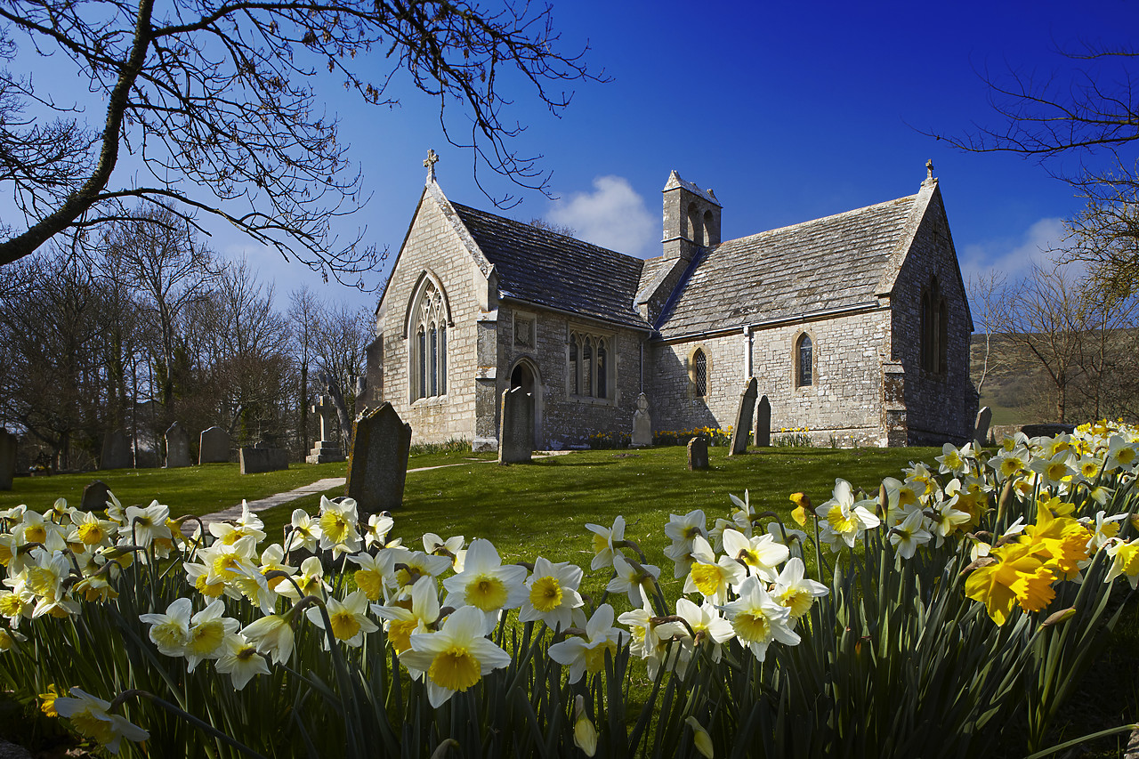 #110058-1 - St. Mary's Church in Spring, Tyneham, Dorset, England