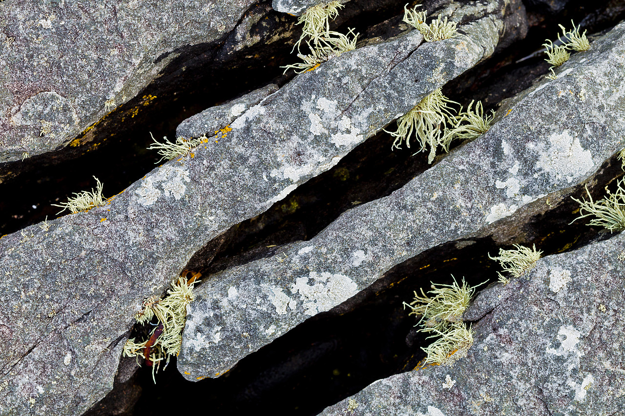 #110069-1 - Limestone Pavement & Lichen, Elgol, Isle of Skye, Scotland