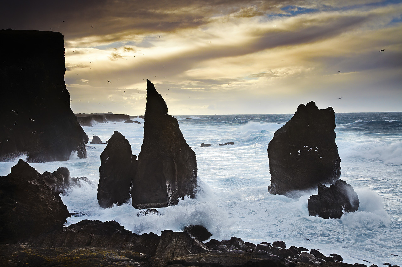 #110118-1 - Reykjanes Peninsula Sea Stacks, Iceland