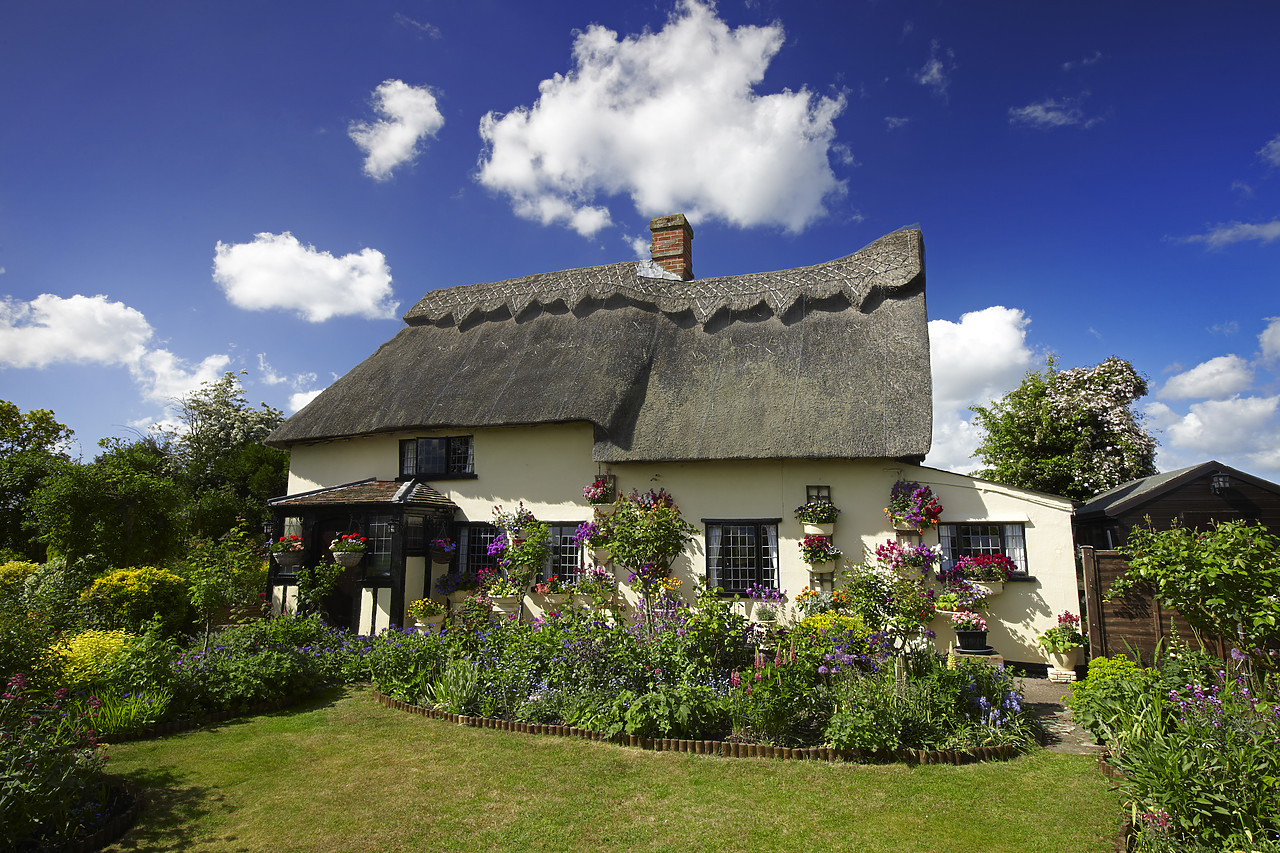 #110120-1 - Thatched Cottage & Garden, Suffolk, England