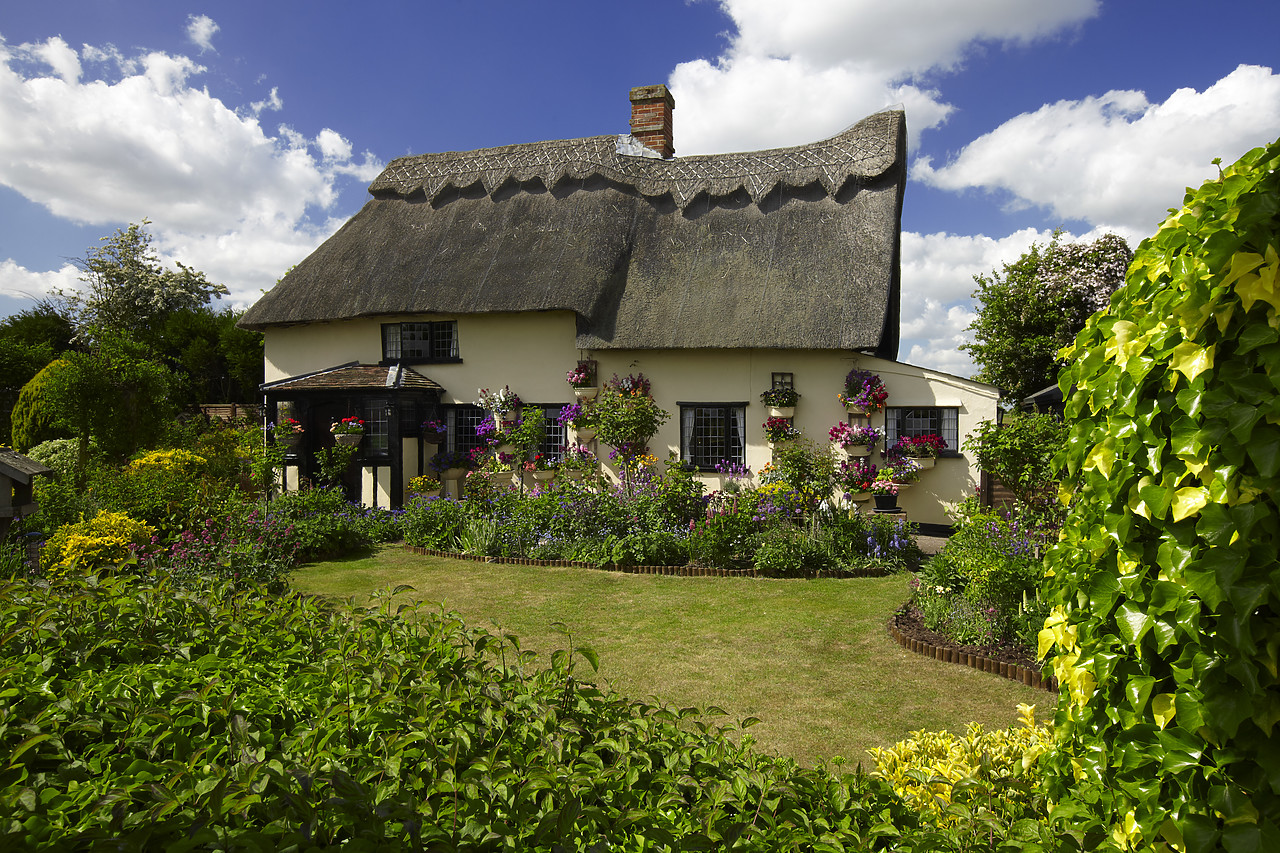 #110121-1 - Thatched Cottage & Garden, Suffolk, England