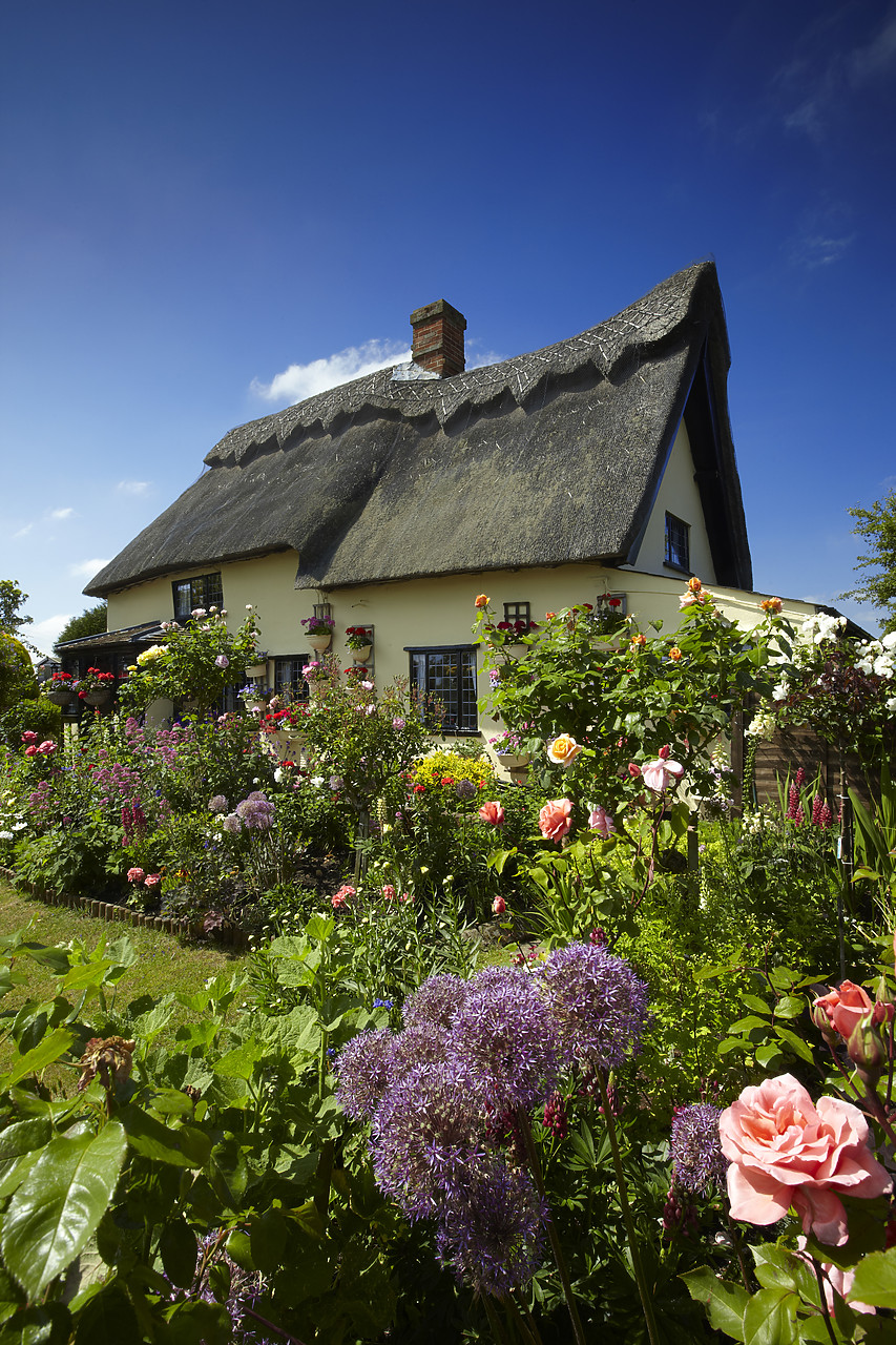 #110123-1 - Thatched Cottage & Garden, Suffolk, England