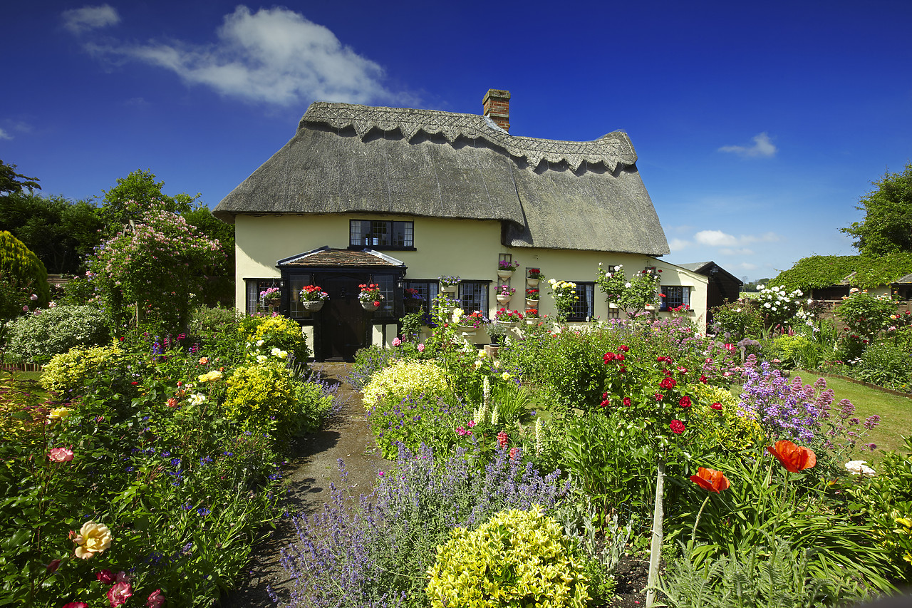 #110124-1 - Thatched Cottage & Garden, Suffolk, England