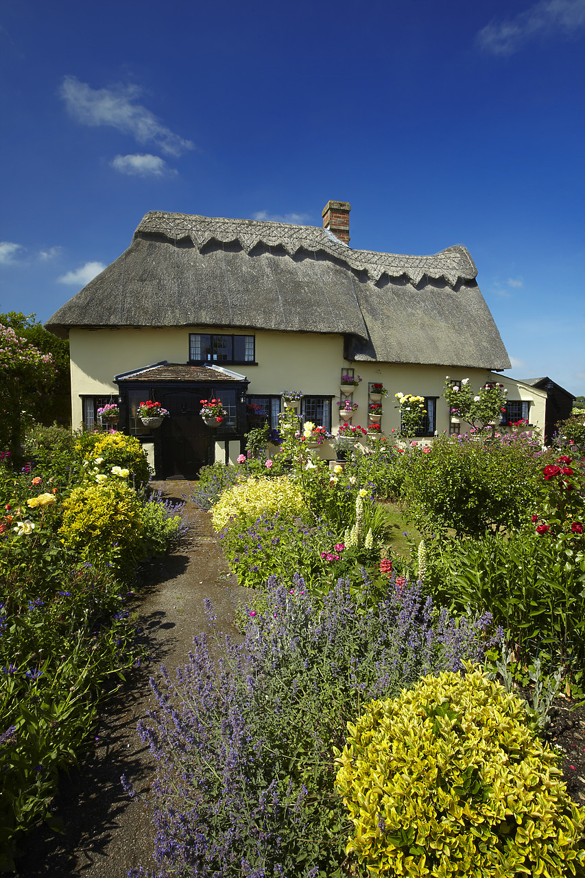 #110124-2 - Thatched Cottage & Garden, Suffolk, England