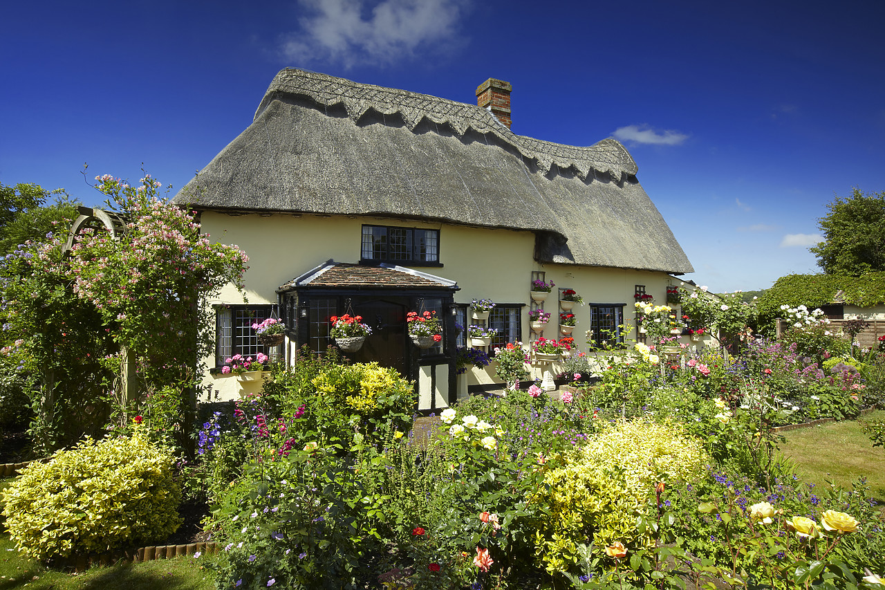 #110125-1 - Thatched Cottage & Garden, Suffolk, England