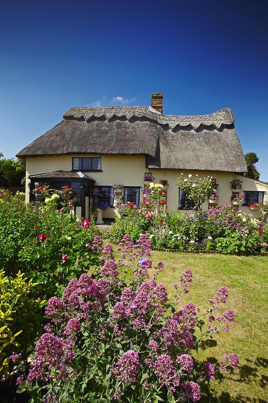 #110126-2 - Thatched Cottage & Garden, Suffolk, England