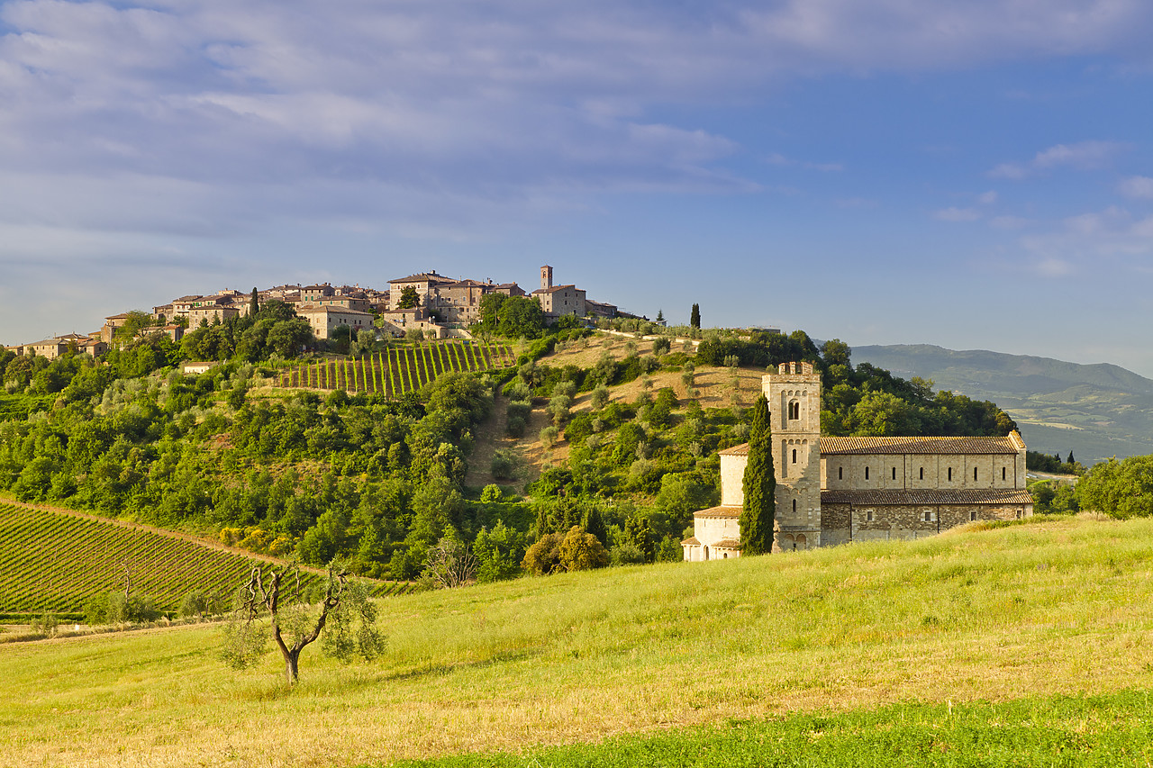 #110135-1 - Castelnuovo dell' Abate & Sant' Antimo Abbey, Tuscany, Italy