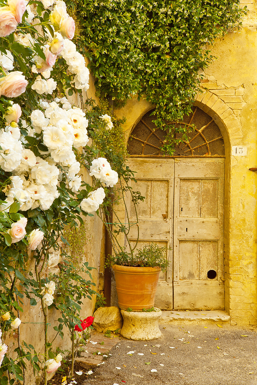 #110160-2 - Roses & Door, Lucignano d'Asso, Tuscany, Italy