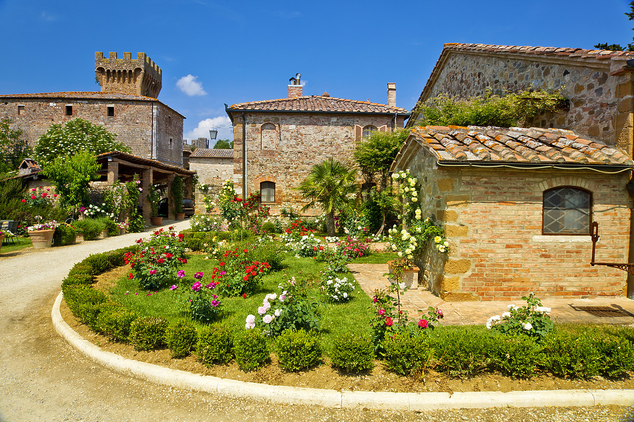 #110166-1 - Casa Picchiata, Tuscany, Italy