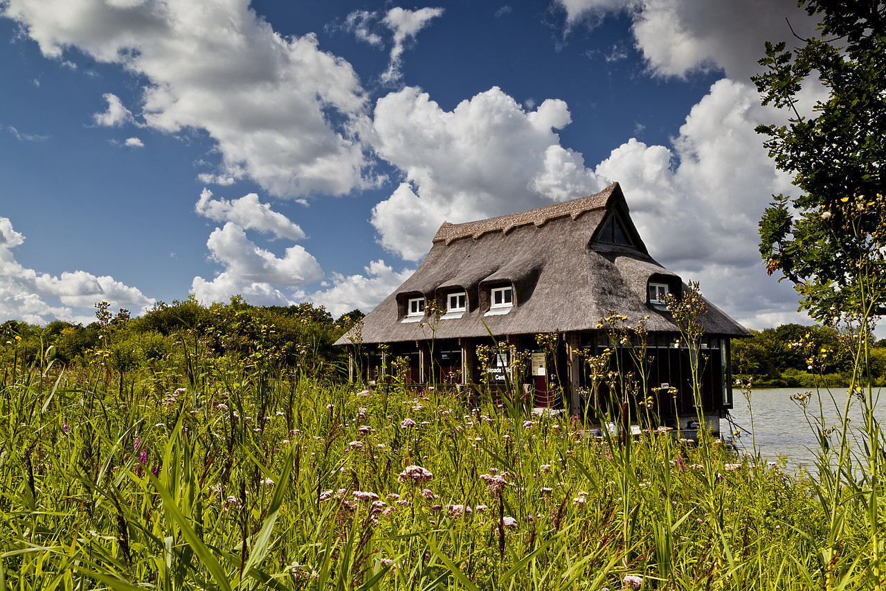 #110193-1 - Broads WIldlife Centre, Ranworth Broad, Norfolk Broads National Park, England