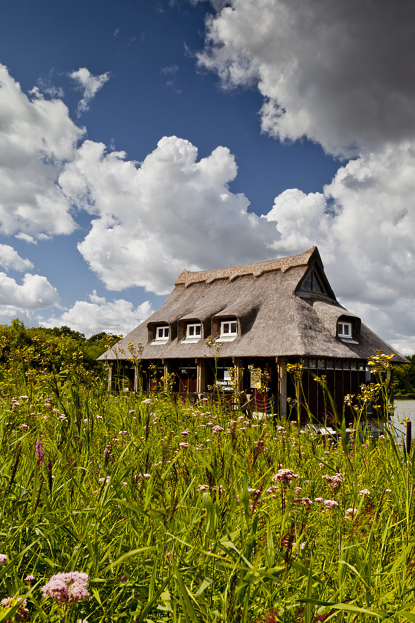 #110193-2 - Broads WIldlife Centre, Ranworth Broad, Norfolk Broads National Park, England