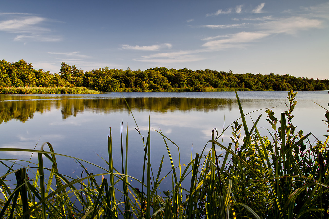 #110198-1 - Cockshoot Broad, Norfolk Broads National Park, England