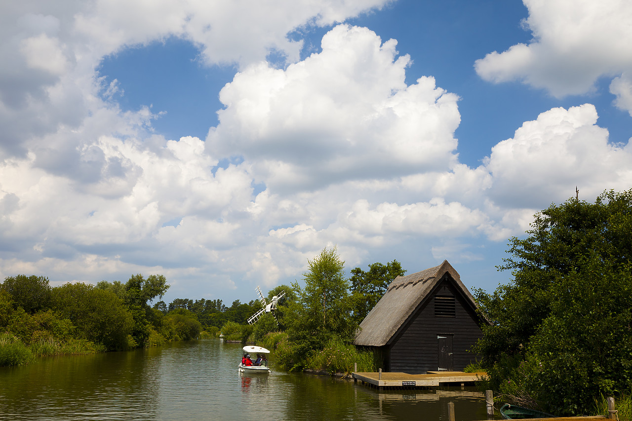 #110208-1 - Electric Eel on River Ant, How Hill, Norfolk Broads National Park, England