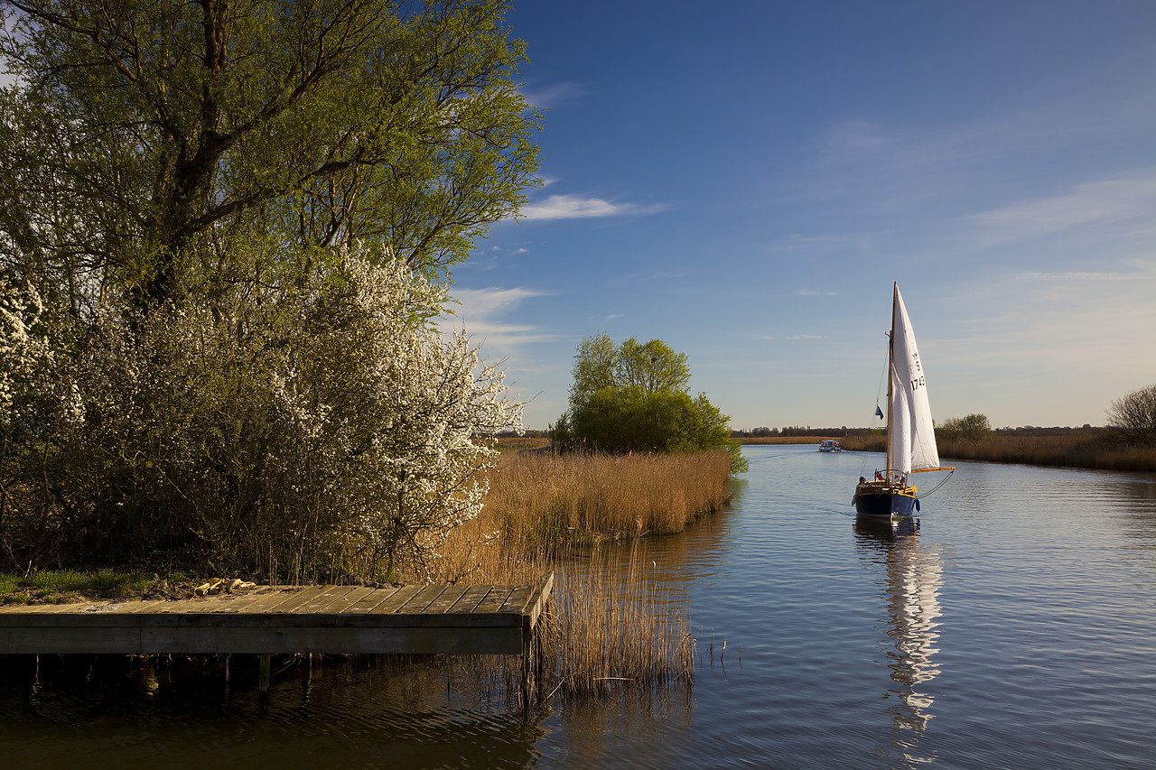 #110225-1 - Sailboat on River Thurne, Norfolk Broads National Park, England