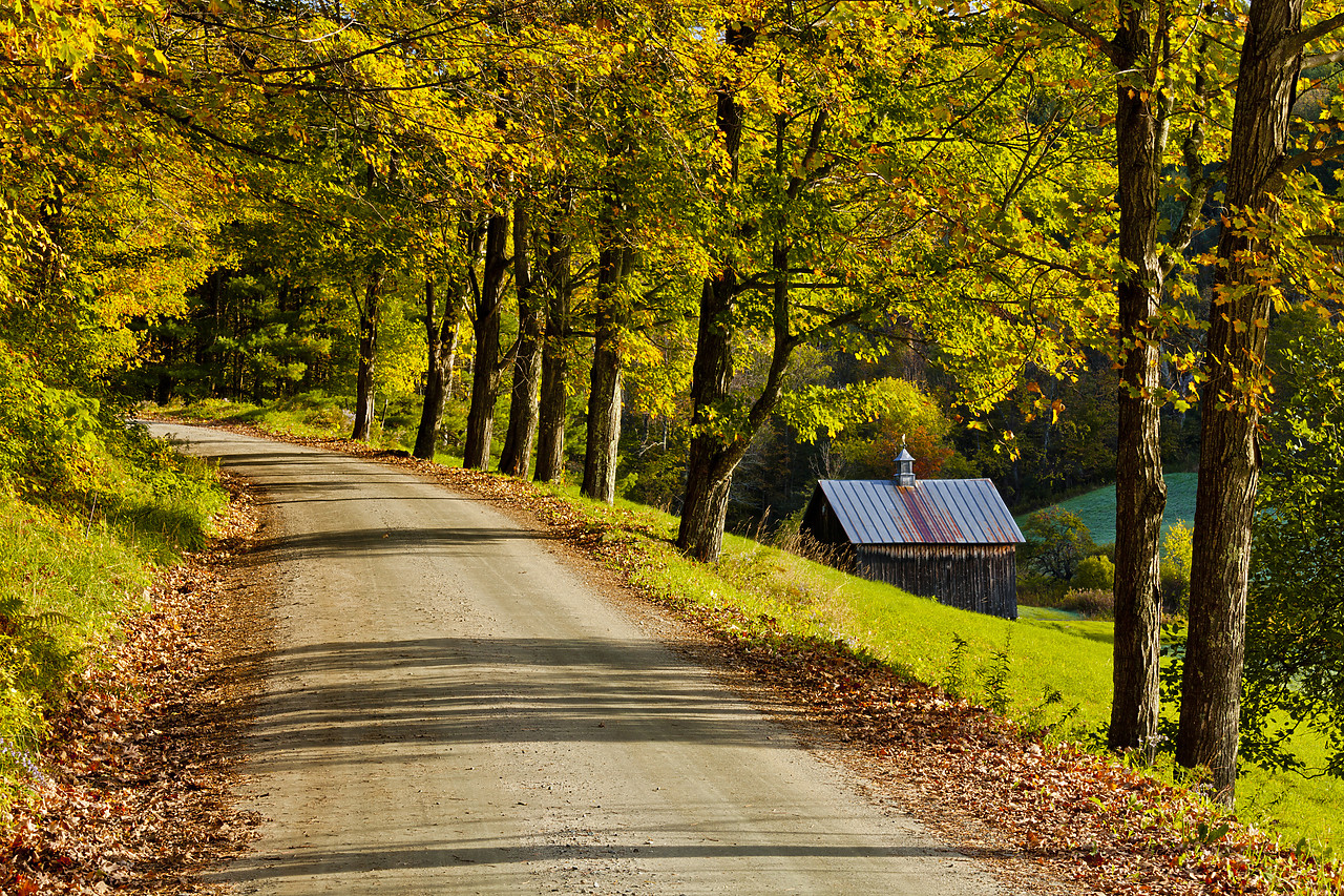#110289-1 - Country Lane in Autumn, Vermont, USA
