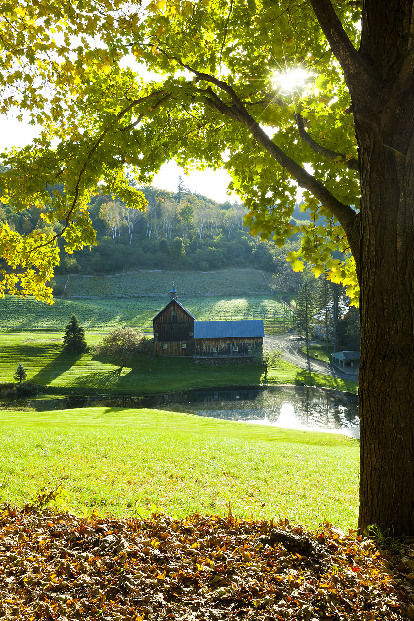 #110290-1 - Cloudland Farm in Autumn, Woodstock, Vermont, USA