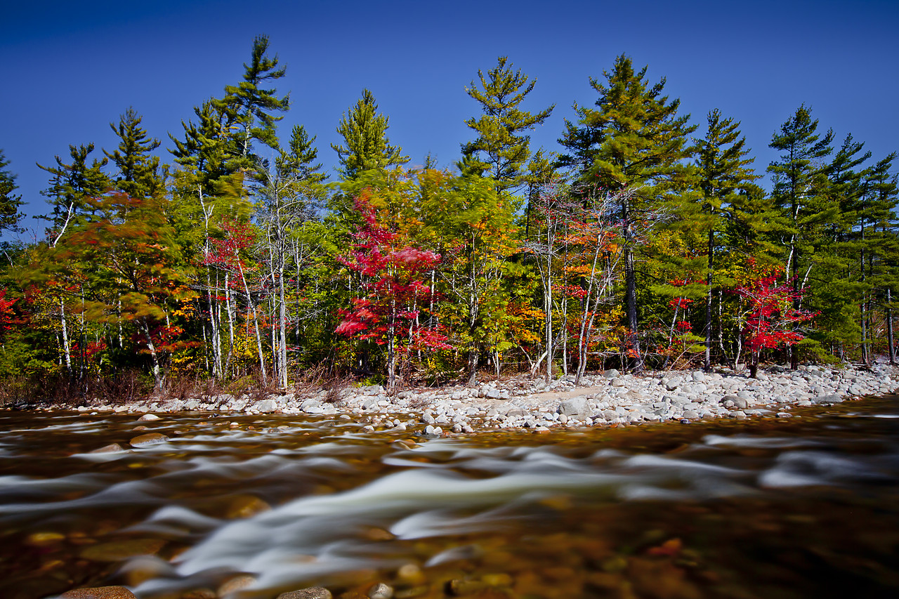 #110298-1 - Swift River in Autumn, New Hampshire, USA