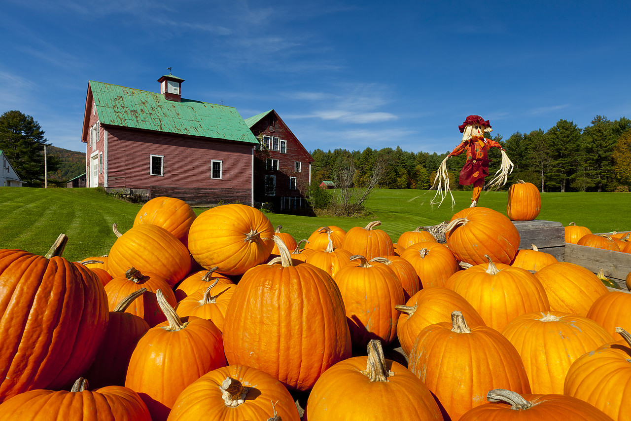 #110304-1 - Pumpkins & Red Barn, New Hampshire, USA