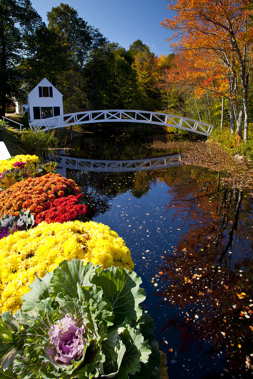 #110308-2 - Cottage & Bridge in Autumn, Somesville, Maine, USA