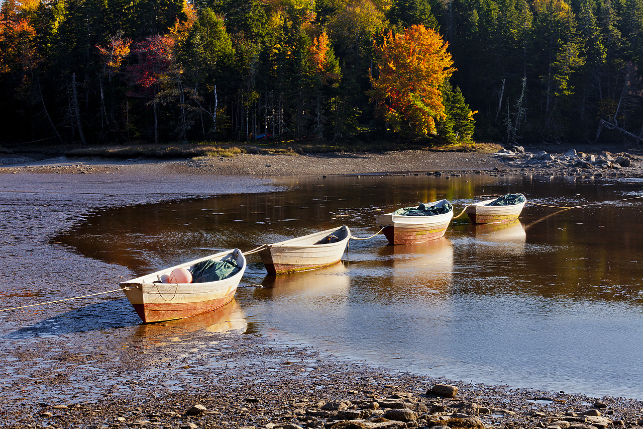 #110309-1 - Boats in Seal Cove, Mt. Desert Island, Maine, USA