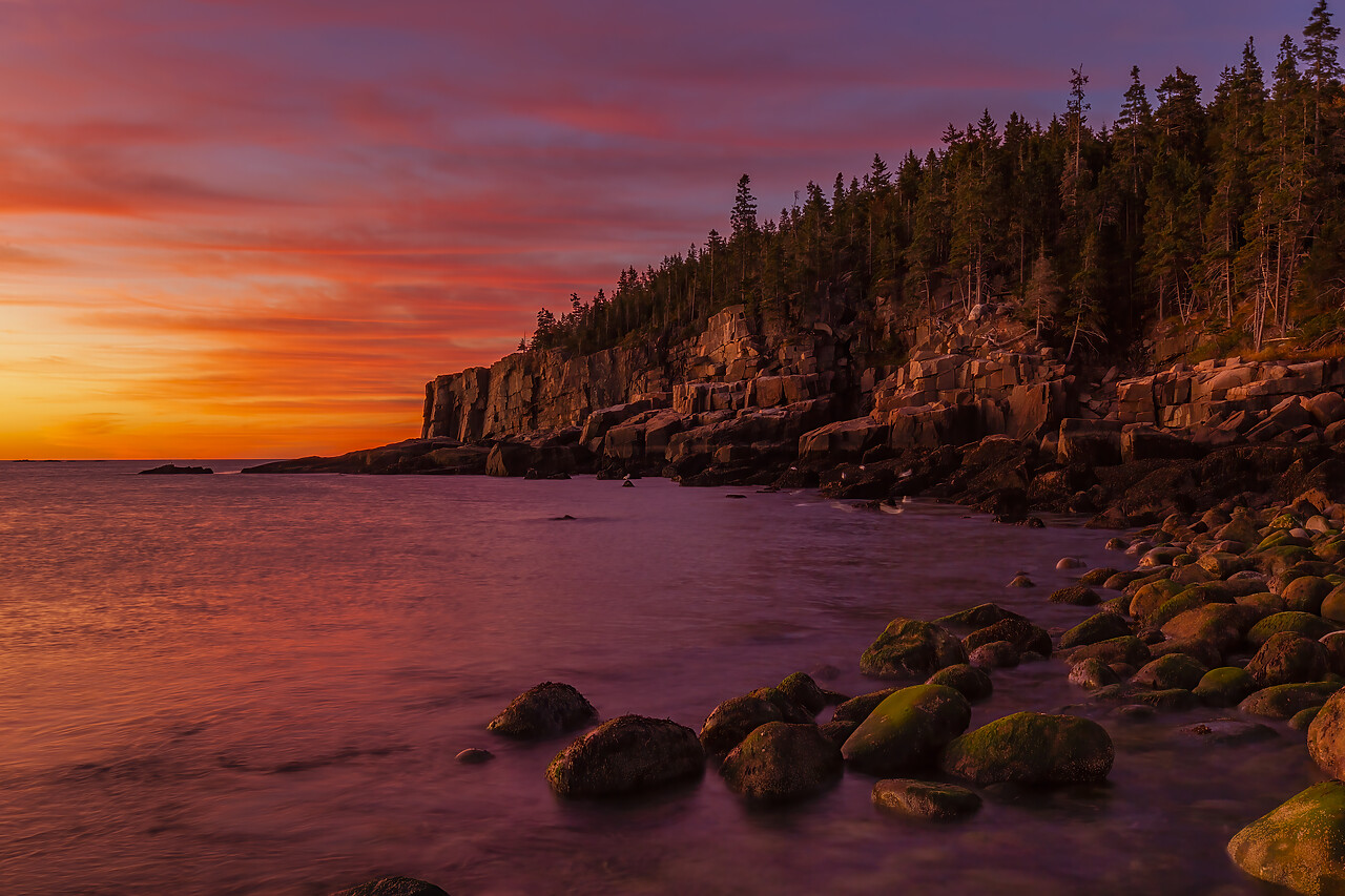 #110313-2 - Otter Cliffs at Sunrise, Acadia National Park, Maine, USA