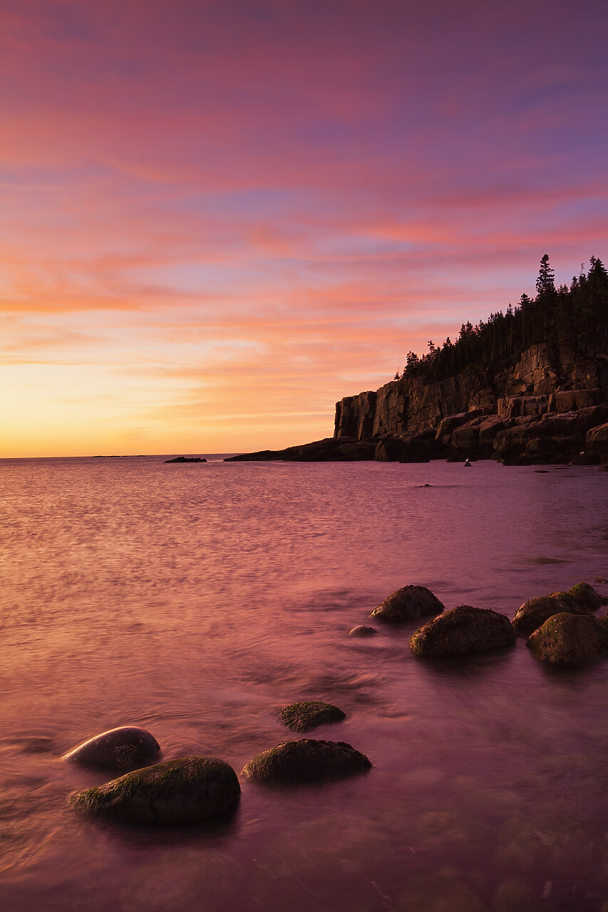 #110313-3 - Otter Cliffs at Sunrise, Acadia National Park, Maine, USA