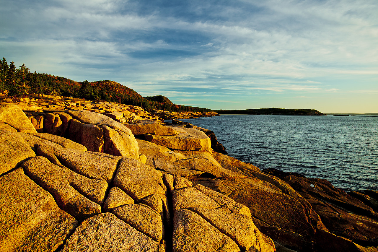 #110314-1 - First Light near Otter Cliffs, Acadia National Park, Maine, USA