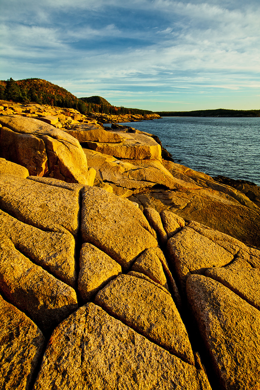 #110314-2 - First Light near Otter Cliffs, Acadia National Park, Maine, USA