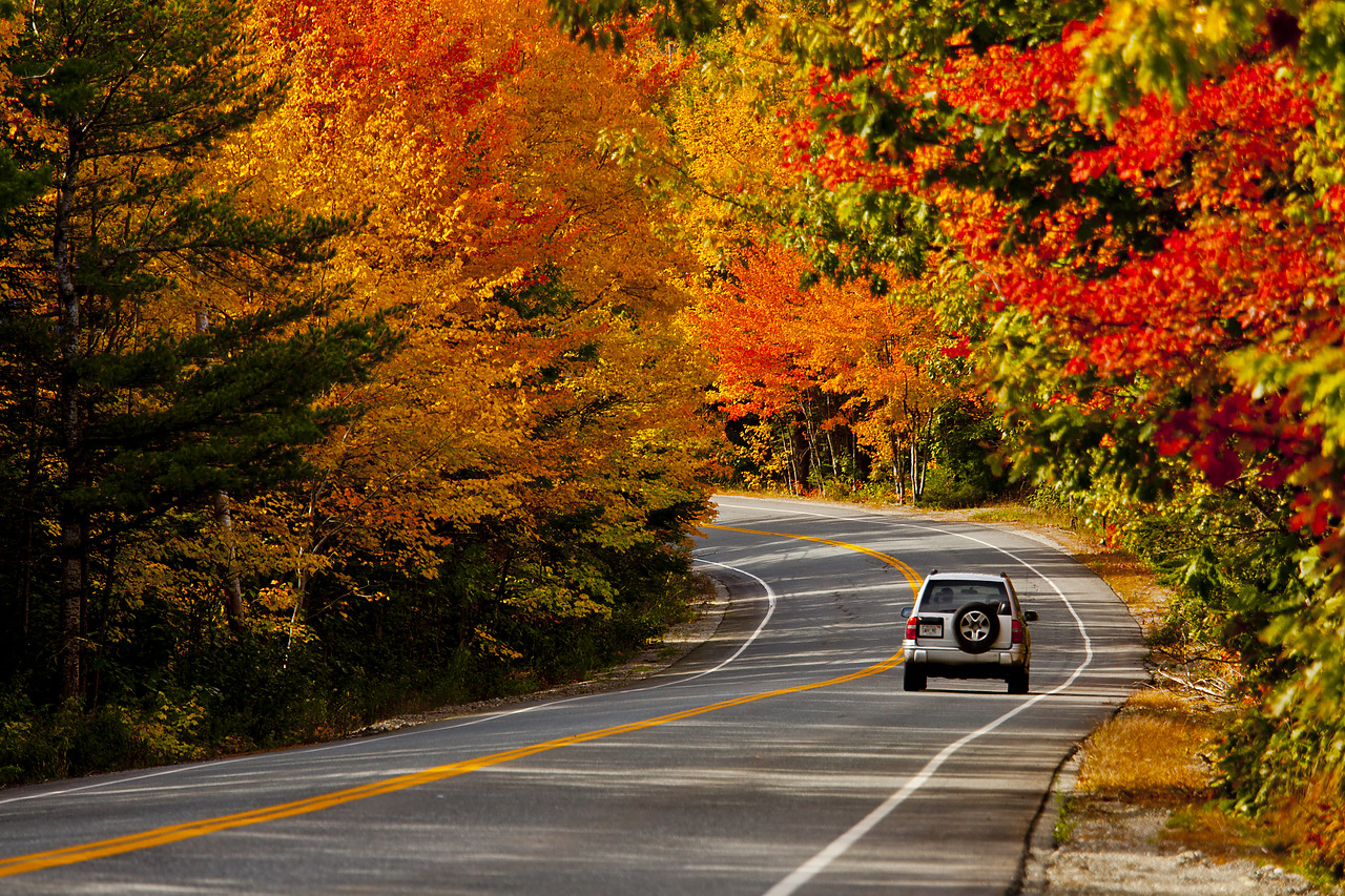 #110317-2 - Car on Road in Autumn, Acadia National Park, Maine, USA