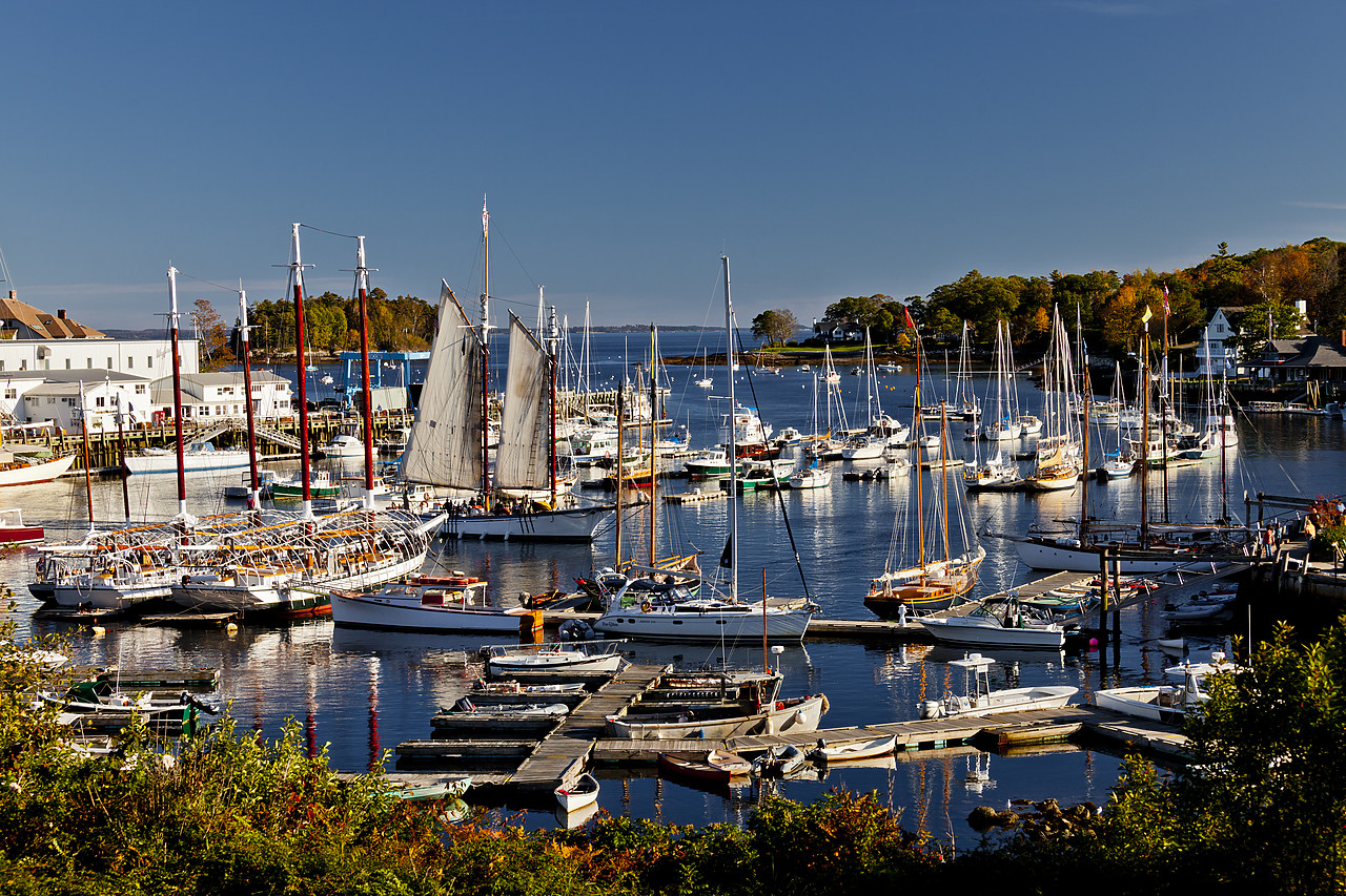 #110318-1 - Camden Harbor, Maine, USA