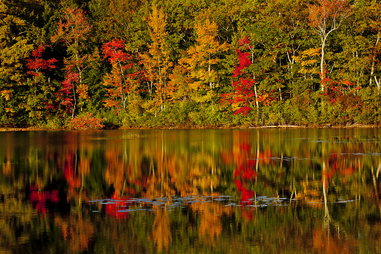 #110320-1 - Megunticook Lake in Autumn, Camden, Maine, USA