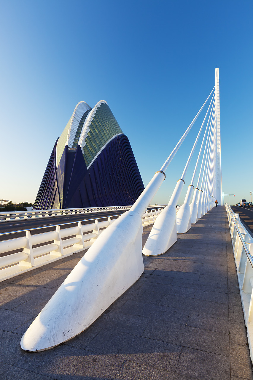 #120000-1 - The Agora & L'Assut d'Or Bridge, Valencia, Spain