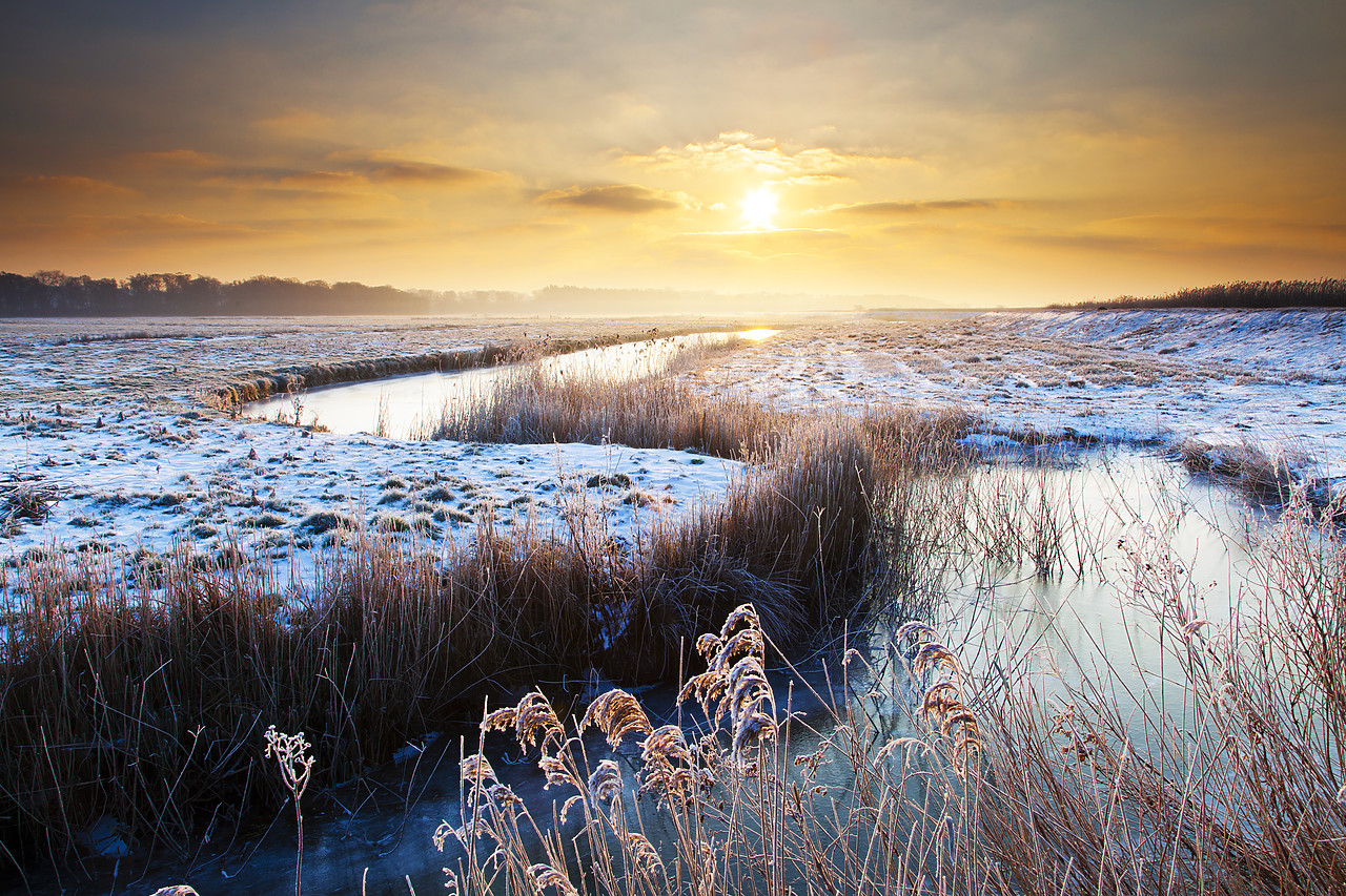 #120044-1 - Winding Dyke at Sunrise in Winter, Herringfleet, Suffolk, England