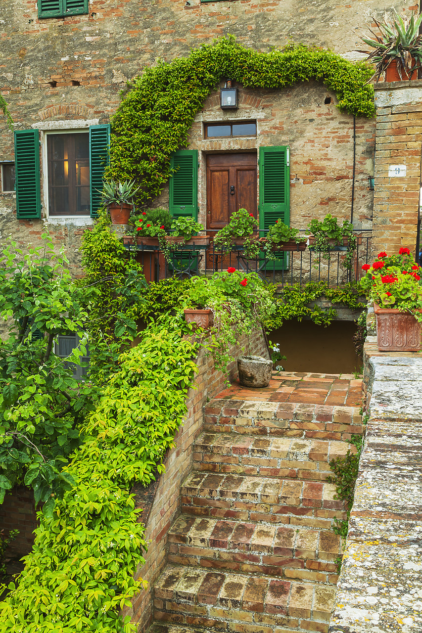 #120046-1 - Villa Steps, Lucignano d'asso, Tuscany, Italy