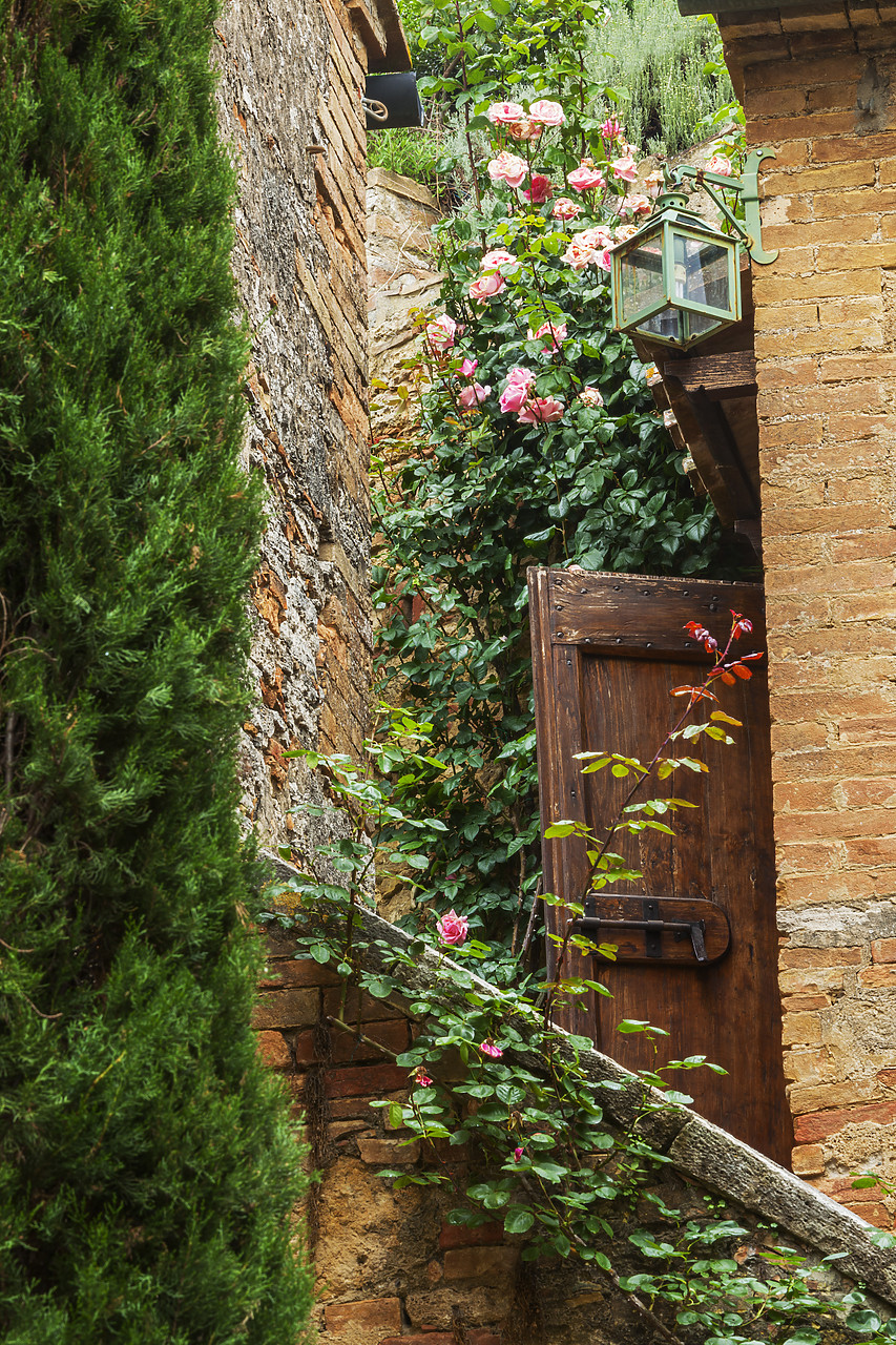 #120051-1 - The Secret Door, Lucignano d'asso, Tuscany, Italy