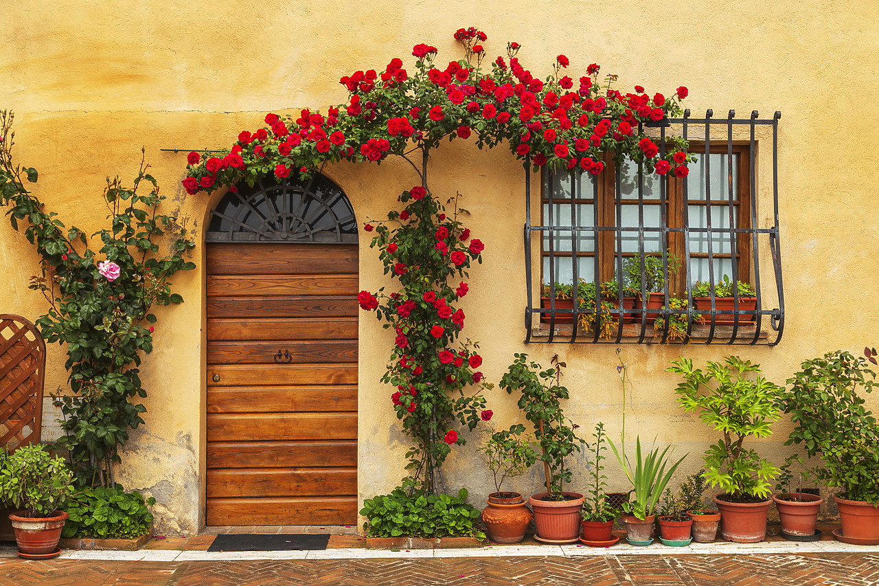 #120054-1 - Rose-covered Door, Montepulciano, Tuscany, Italy