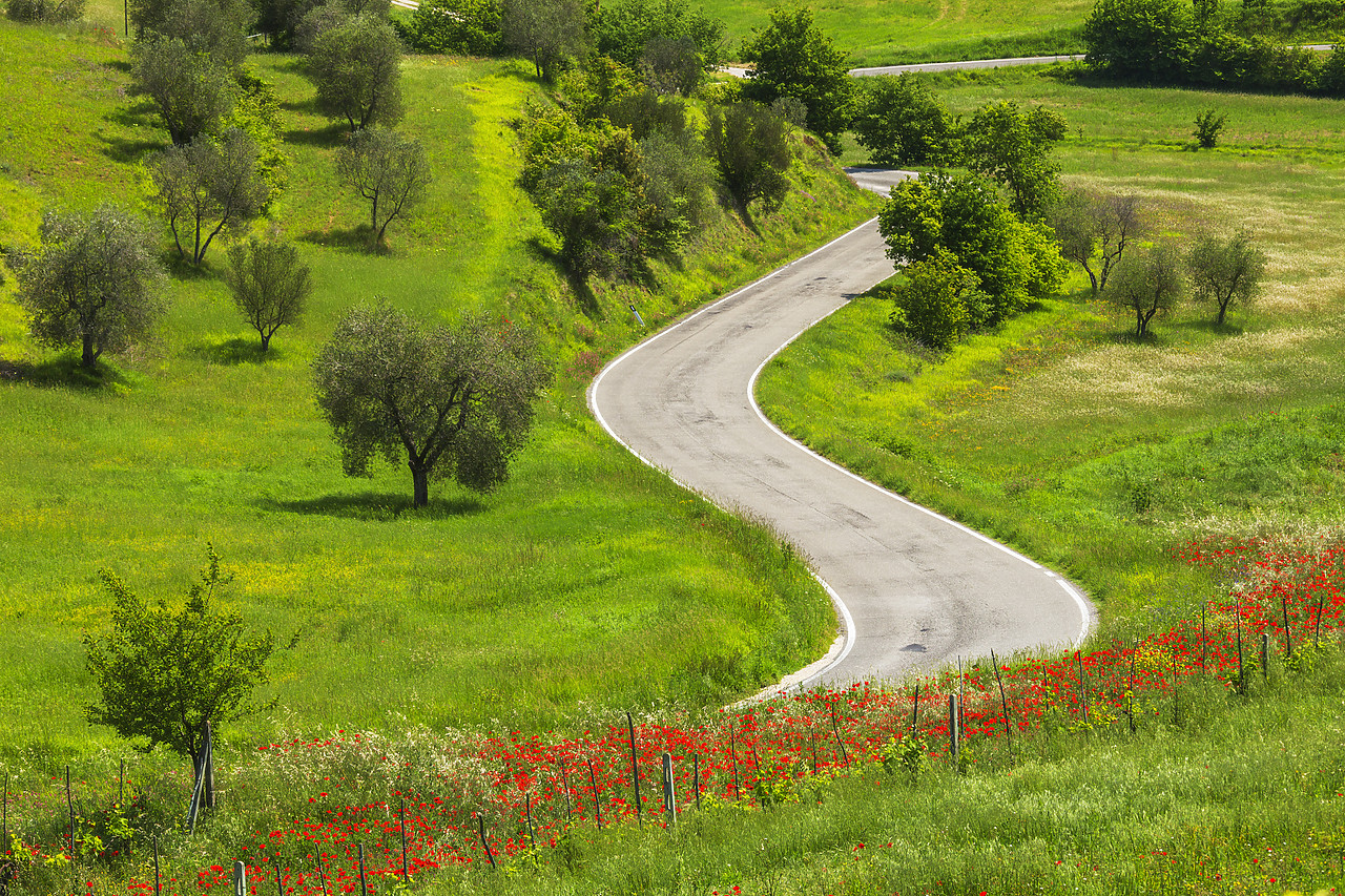 #120068-1 - Winding Road, Tuscany, Italy