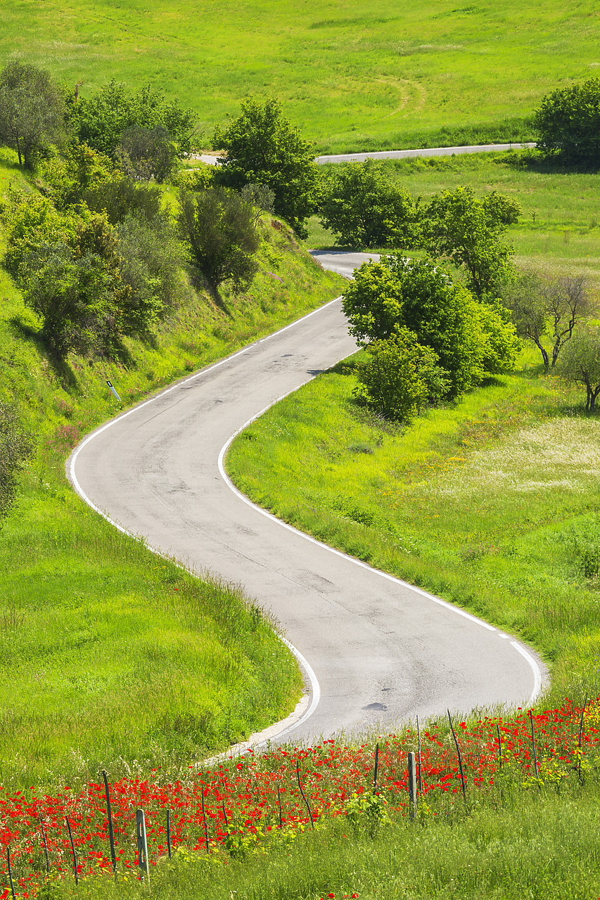 #120068-2 - Winding Road, Tuscany, Italy