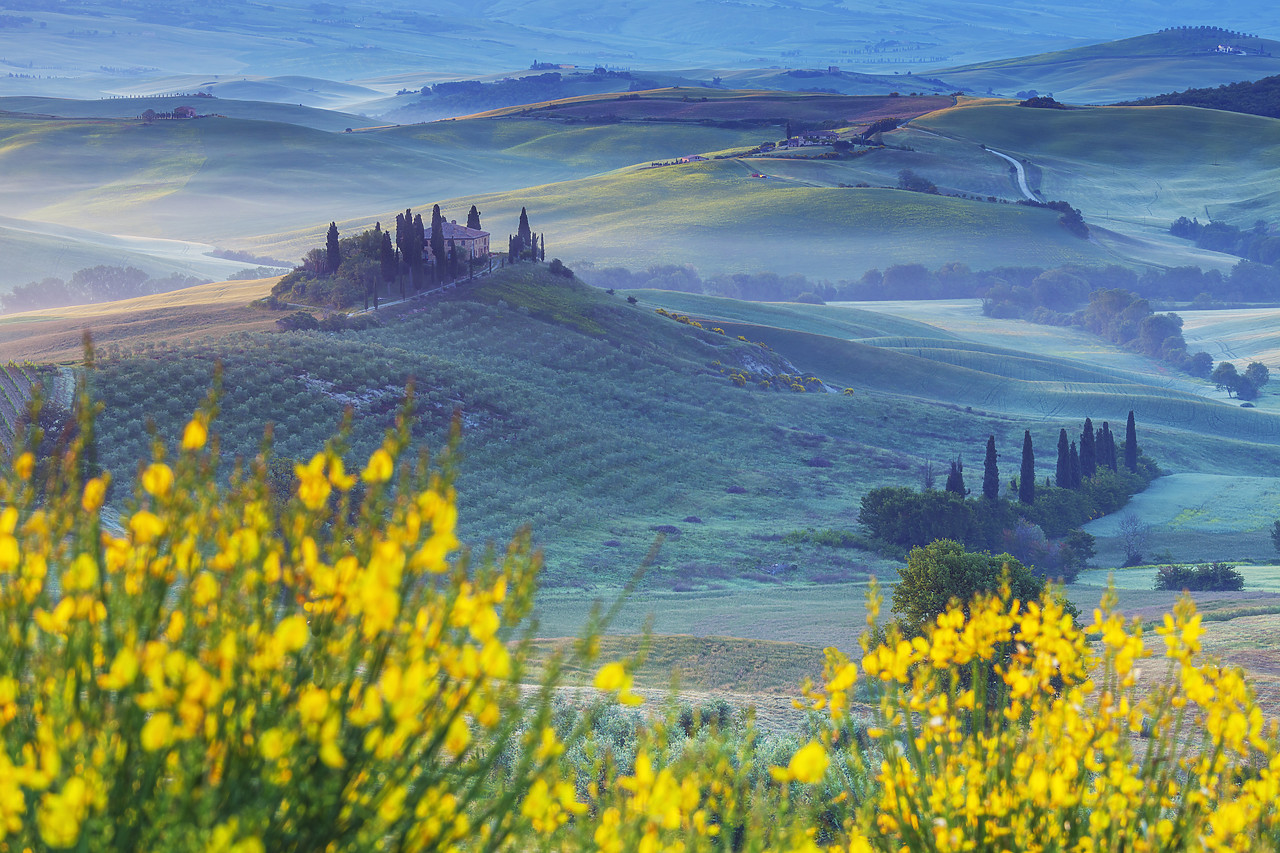 #120079-1 - Morning Mist Around Belvedere, Val d'Orcia, Tuscany, Italy