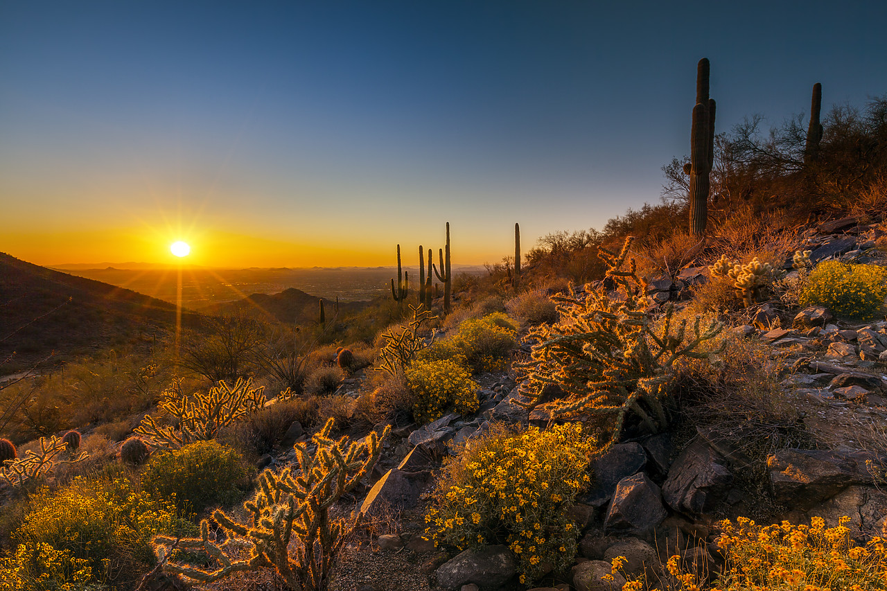 #120090-1 - Sunset at McDowell Sonoran Preserve, Scottsdale, Arizona, USA
