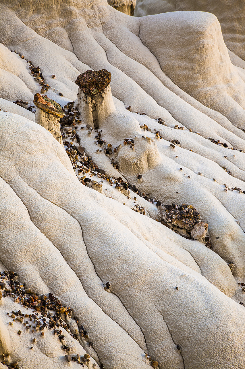 #120125-1 - Valley of the White Ghosts, Grand Staircase-Escalante National Monument, Utah, USA
